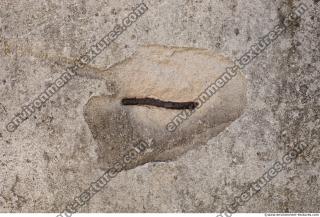 Photo Textures of Wall Plaster